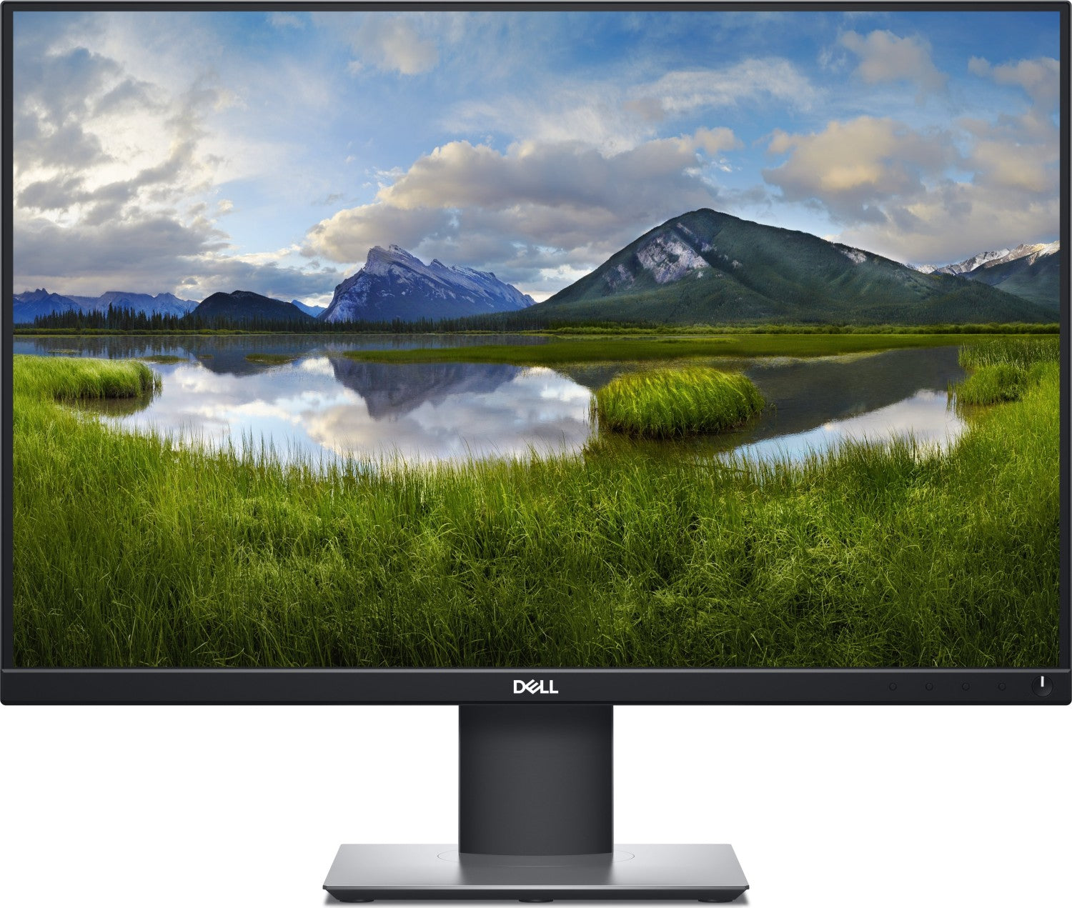 Dell P2421 | 24.1"