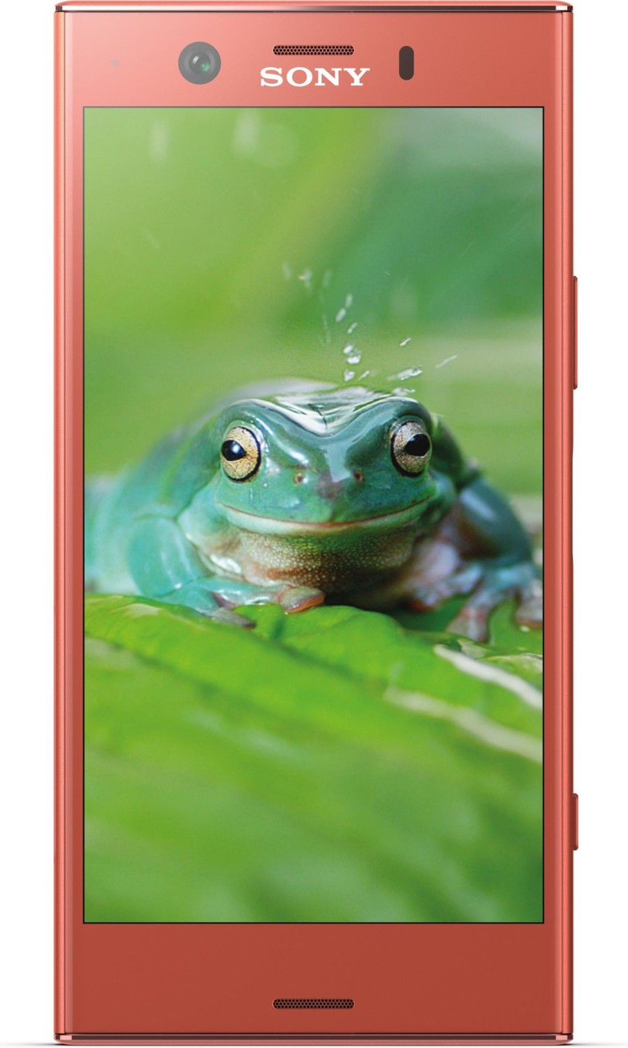 Sony Xperia XZ1 Compact