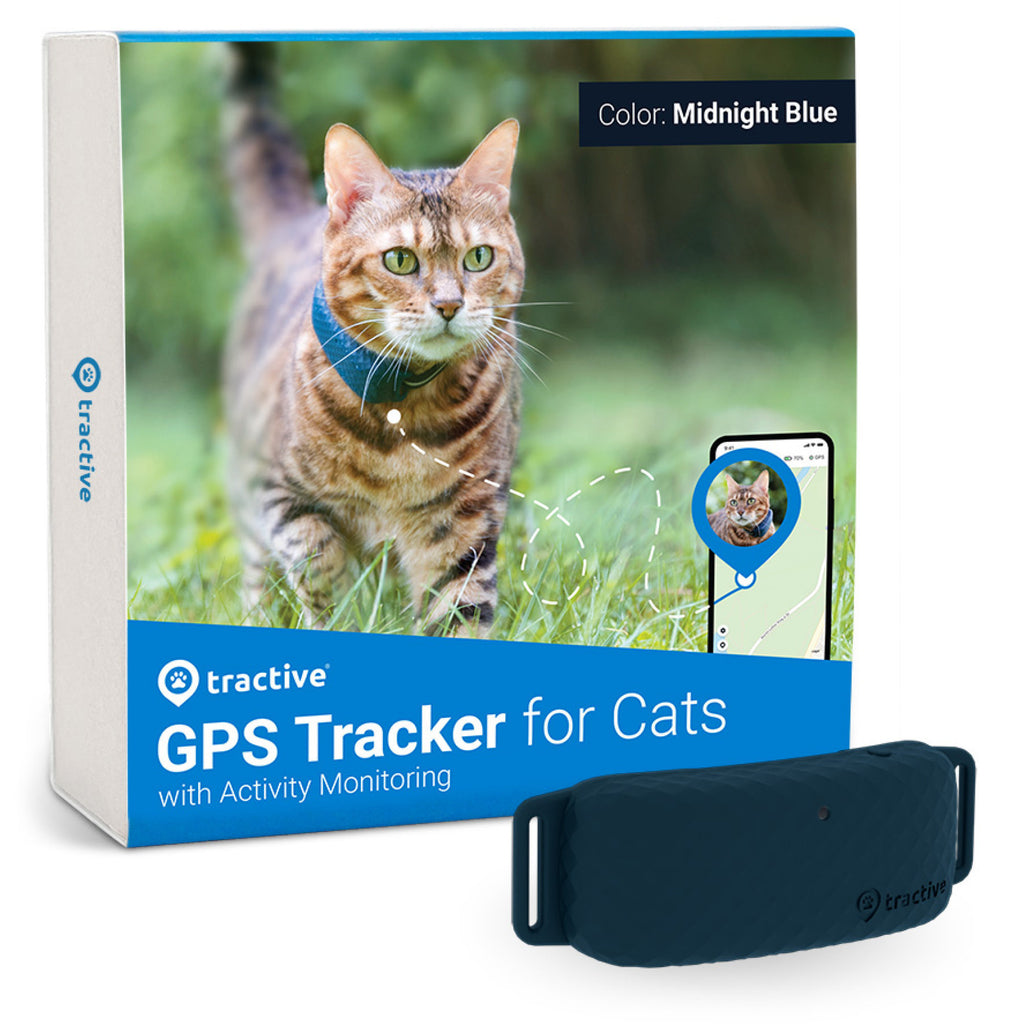 Tractive GPS CAT 4 - GPS Tracker Katze mit Aktivitätstracking | EXKL. ABO