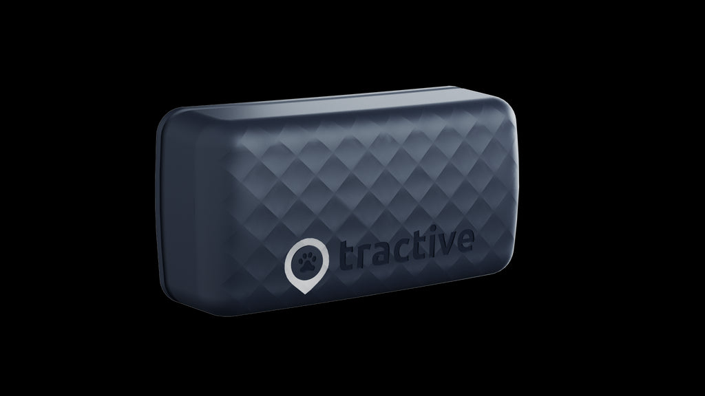 Tractive GPS CAT Mini - GPS Tracker Katze mit Aktivitätstracking | EXKL. ABO