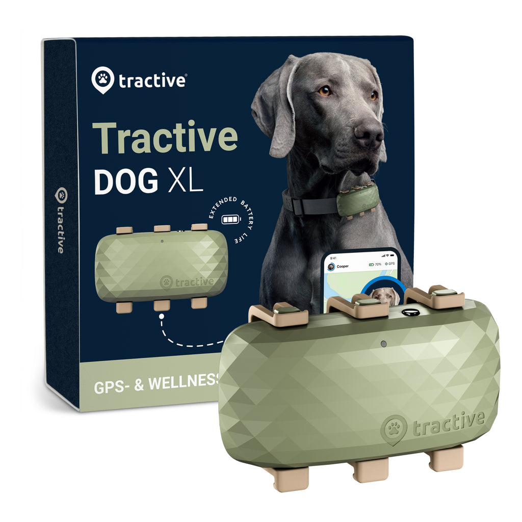 Tractive DOG XL - GPS Tracker Hund mit längerer Akkulaufzeit | EXKL. ABO
