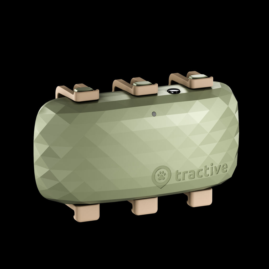 Tractive DOG XL - GPS Tracker Hund mit längerer Akkulaufzeit | EXKL. ABO