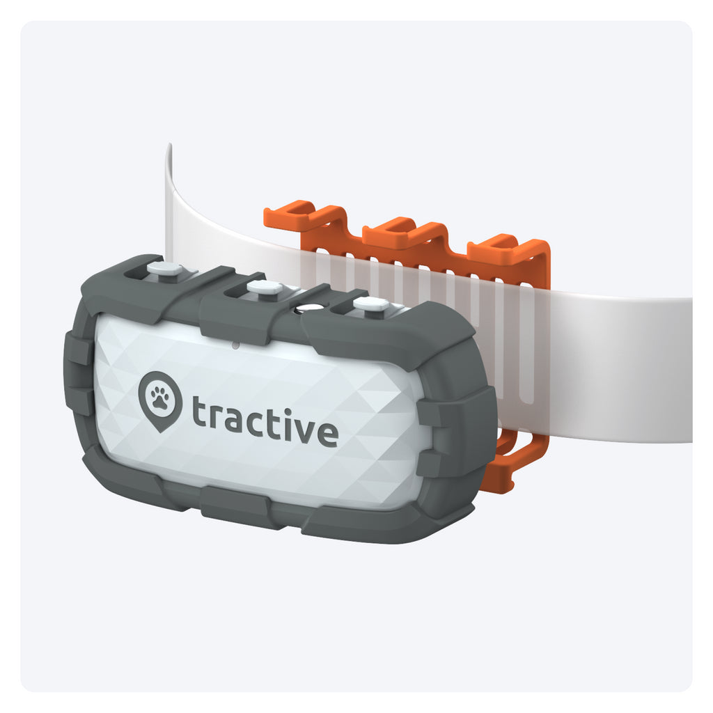 Tractive DOG XL Adventure Edition - Glasfaserverstärkter GPS & Health Tracker für Hunde | EXKL. ABO